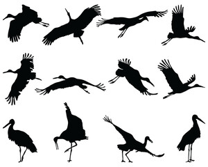 Black silhouettes of storks on a white background	