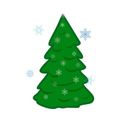 Green spruce and snowflake on white background