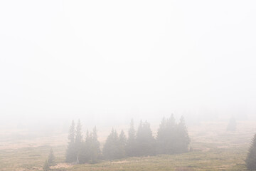 Fototapeta na wymiar Minimalistic mist foggy mountain landscape with autumn rocky peaks in rainy weather in Vitosha, Sofia, Bulgaria