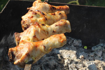 chicken legs are grilled skewers over charcoal barbecue picnic