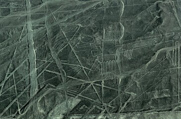 Nazca Geoglyph Fregatebird Fregate bird Nazca Lines Geoglyphs in Nasca desert, ancient Nazca culture, aerial view.