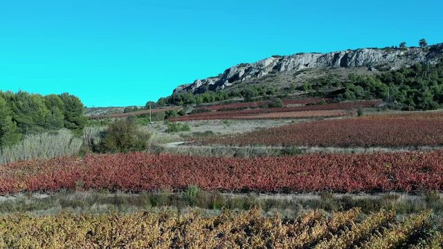 Survol des Corbi&egrave;res, &eacute;oliennes dans la garrigue et les vignes
