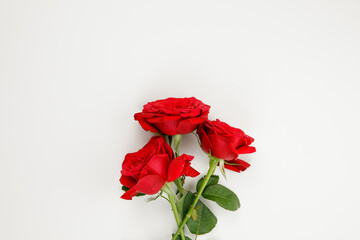 three red rose isolated on white background