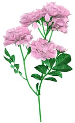 Flowers Rose Bouquet 3D rendering