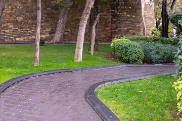 Photo of the road leading right in the park