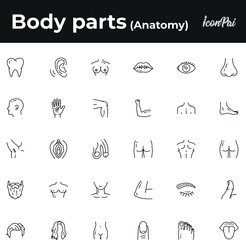 Human body parts anatomy