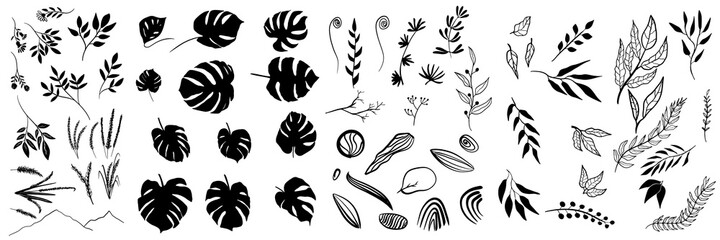 Big set with floral, monstera, wreath, design elements, frames, mountain, calligraphic. Vector floral illustration with branches, berries, feathers and leaves. Nature frame on white background. © SyahCreation