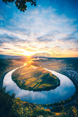 The Moselle loop, a beautiful river in Germany, makes a 180 degree loop. with vineyards and a great landscape and lighting in the morning - obrazy, fototapety, plakaty
