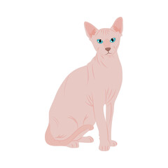 cartoon sphynx cat icon, colorful design