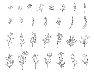 Set of cute hand drawn flowers, branches, leaves. Vector line arrangements for greeting card or invitation design