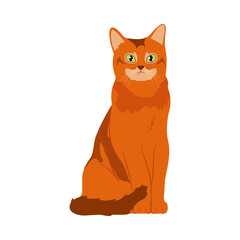 cartoon red cat icon, colorful design