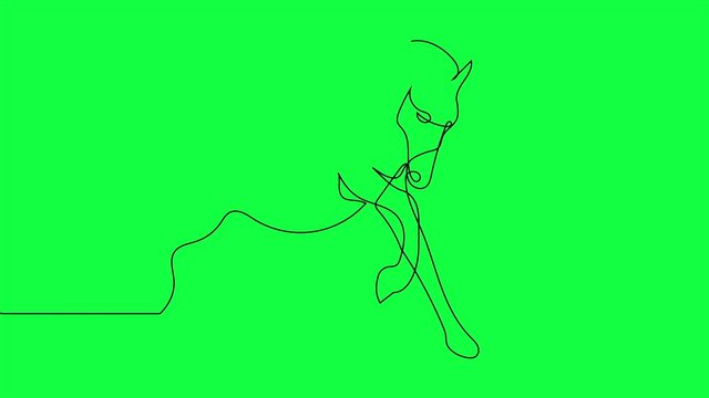 Self drawing animation of continuous one line drawing of isolated vector object - horse on green screen
