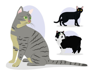 Fototapeta na wymiar icon set of beautiful cats, colorful design