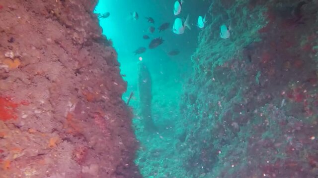 buceando en una cueva submarina con estatua 