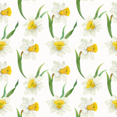 Hand painted watercolor seamless pattern Narcissus blossom