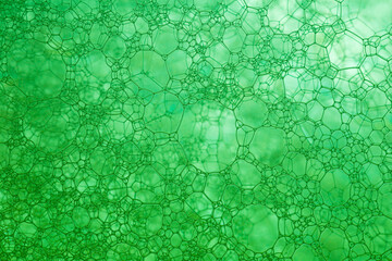 The close distance of the green bubble,Bubble, DNA, Drop, Liquid, Medicine,Foam Bubble from Soap or Shampoo Washing,Poland, Biochemistry, Biotechnology, Laboratory, Water