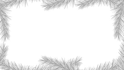 White background for design, framed by fir branches, vector