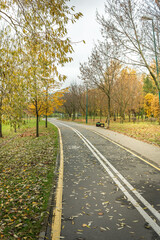 Bike path through the park. Beautiful landscape of outdoor activities in the park.