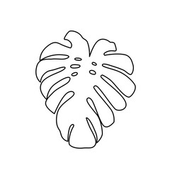 Monstera Tropical leaf, illustration. Outline drawing. Black contour. Decorative element. Black and white linear simple image.