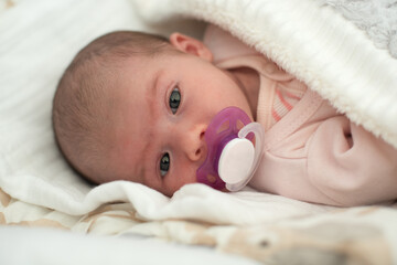 Newborn Baby Portrait, Beautiful New Born Kid sucking Pacifier, Child four weeks old.