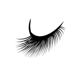 Long eyelashes on a white background. Symbol. Vector illustration.