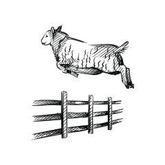 Hand drawn sketch of sheep jumping over the fence on a white background. Black and white sketch of sheep jumping. Going to sleep. Sleeping set. Counting sheep to sleep - 401431238