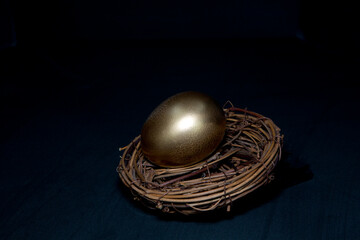Gold Egg in Nest in Low Key Black Background image of conceptual still life suggestive of stability and successful, strategic, long term investment