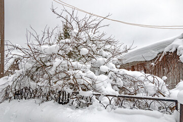 Real Russian winter, when frost and a lot of snow, in the country village, with small houses, roads through high snowdrifts