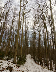 Winter in Nieder&ouml;sterreich - Sch&ouml;pfl
