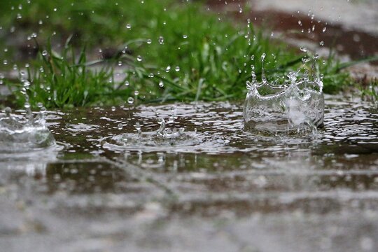 rain is falling in a puddle in the garden
