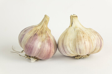 Fresh garlic isolated on white background