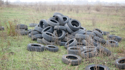 Used tires lie in a heap in the field amidst the grass and bushes © Ihor