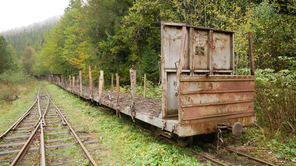 Fototapeta na wymiar An old rusty timber carriage stands on a siding, waiting for timber to be transported