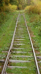 The curved railroad tracks run through bushes and trees and turn right. Industrial railway line for transporting boards, timber and trees