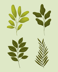 bundle of leaves icons on a green background