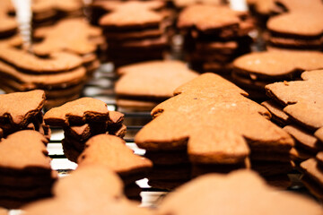 freshly baked gingerbread cookies cooling on racks - 401434439