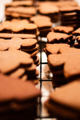 freshly baked gingerbread cookies cooling on racks - 401434449