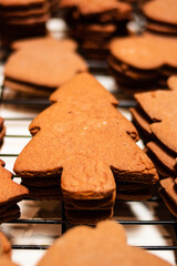 freshly baked gingerbread cookies cooling on racks - 401434486