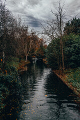 Paisaje en parques con un lago