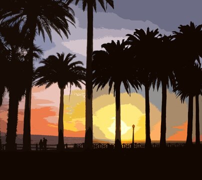 Sunset through palm silhouettes
