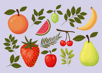 bundle of fruits icons on a purple background