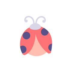 bug on the white background