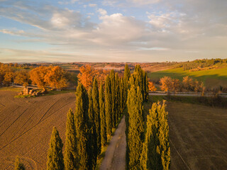 Autumn landscape with cypress row in Tuscany. Aerial view