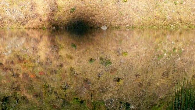 Reflection of mountain side covered with dry yellow grass in mountain lake. Sunny autumnn wamr day with nice weather.