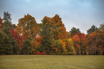 autumn in the park
