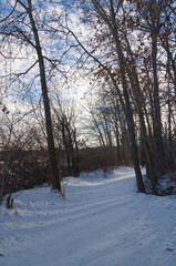 A Snowy Trail at Gold Bar Park