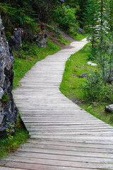 A curved wooden path along a forest rocky wall