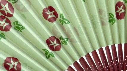 Multicolored Hand Fan Isolated on a White Background.