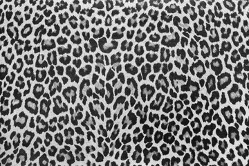 Leopard texture fabric sample background texture