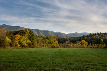 Peaceful Field With Layers of Trees and Mountains